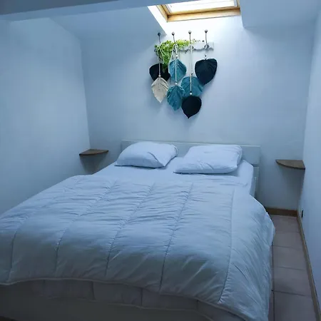 Duplex Proche Et Centre 팔라바 레 플로