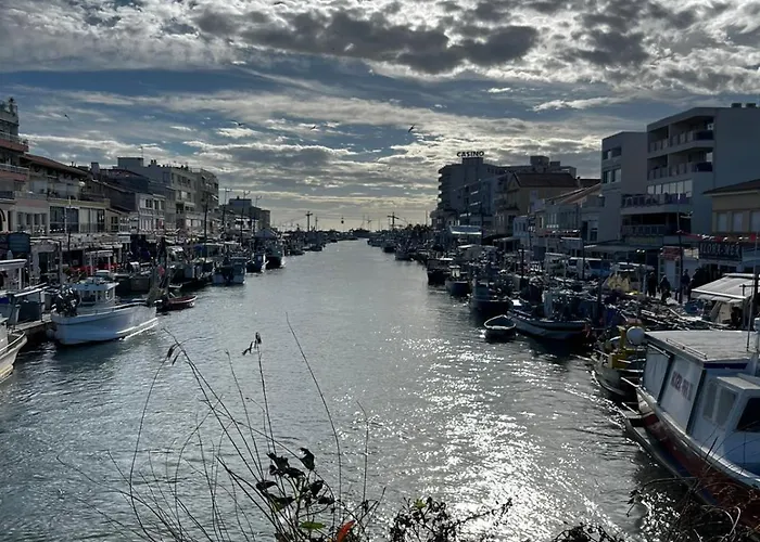 Duplex Proche Et Centre *